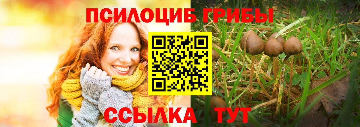 Псилоцибиновые грибы MAGIC MUSHROOMS  Вход с VPN  Выборг 