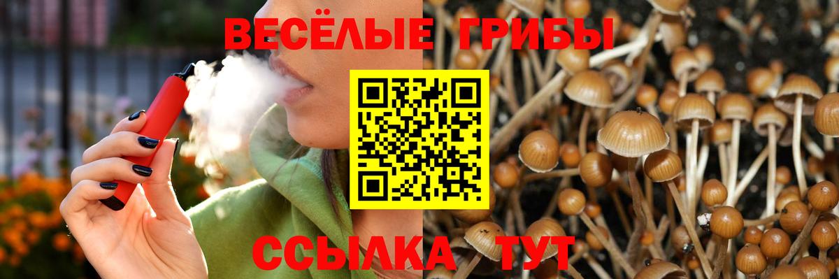 Псилоцибиновые грибы прущие грибы Выборг